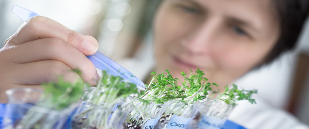 Cinco setores para investir em start-ups em 2017