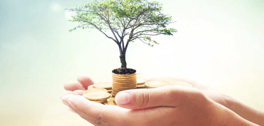 Business Angels Investimento