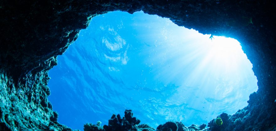 Mergulhar no oceano com a exposição de fotografia Almada Atlântica