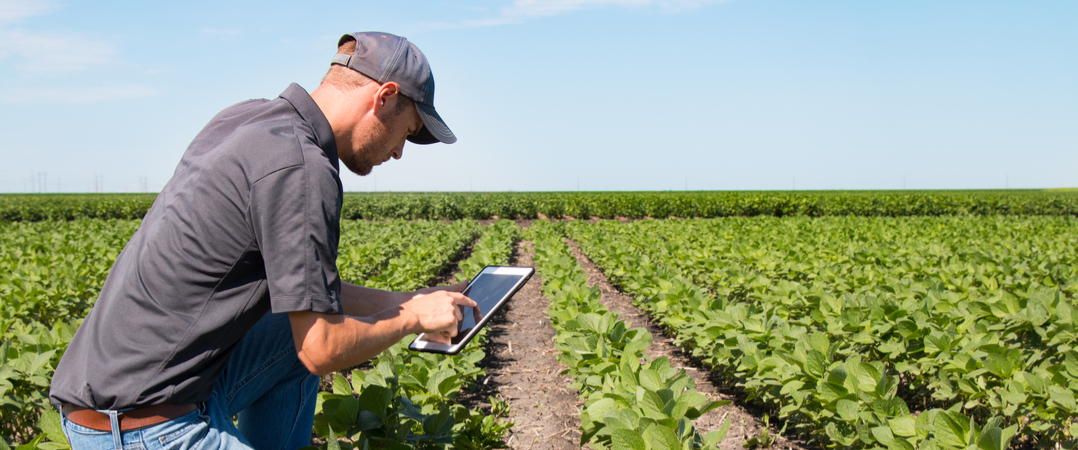 8 lições que os empreendedores devem aprender com os agricultores