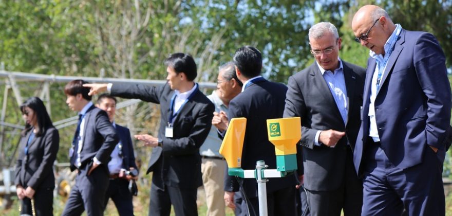 Agricultura: Responsáveis NEC no campo de cultivo de tomate