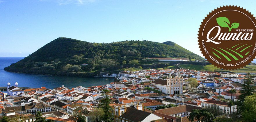 Start-up do mês: As Nossas Quintas, um projeto de inserção social