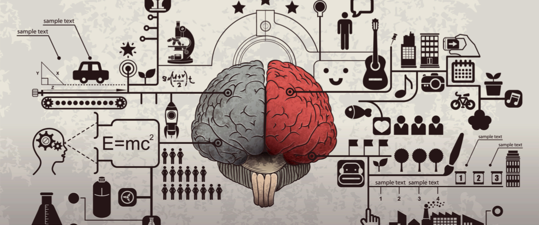 A razão para a inteligência emocional ser crucial para o sucesso