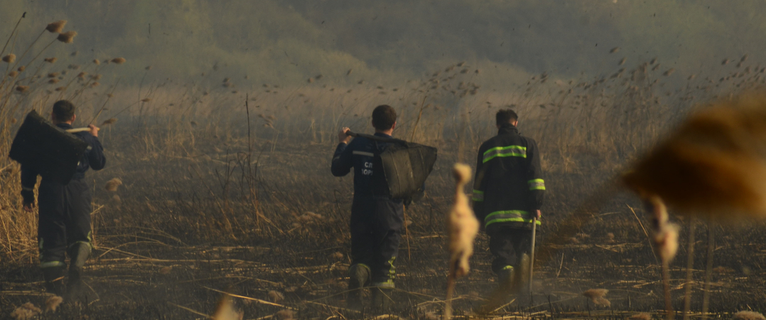 Incêndios: Concurso de ideias inovadoras para a prevenção e revitalização