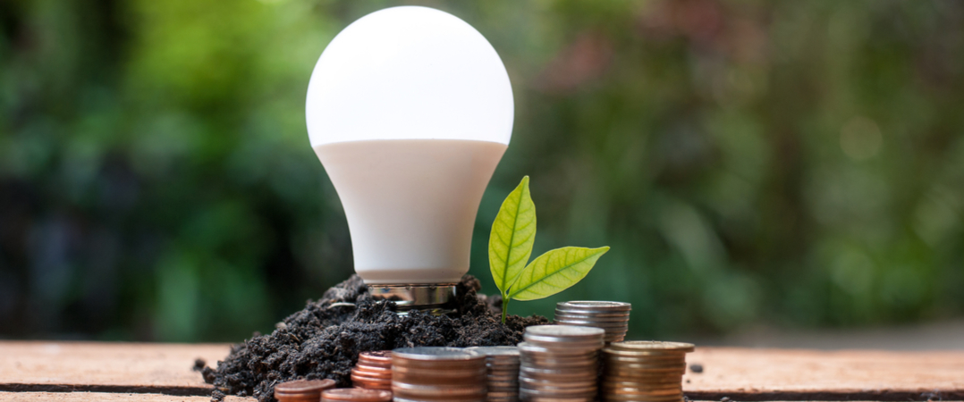 Seedrs: projeto português de poupança de energia procura investidores