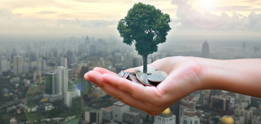 5 regras para os novos investidores de fundos mútuos em 2019