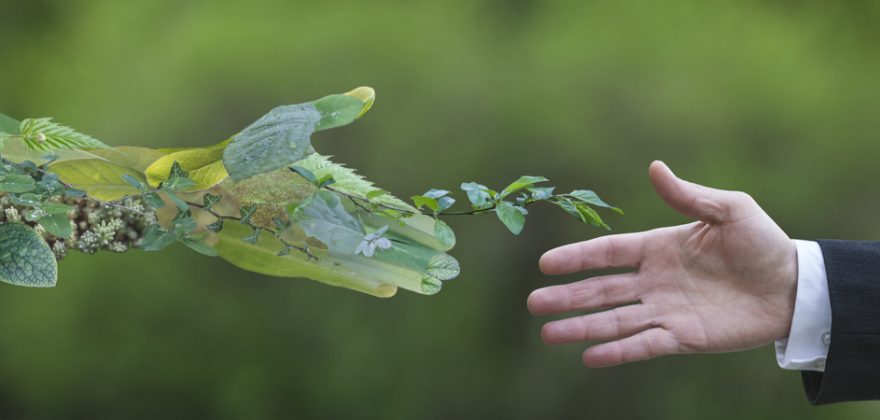 Portugueses são os que dão maior importância ao investimento sustentável