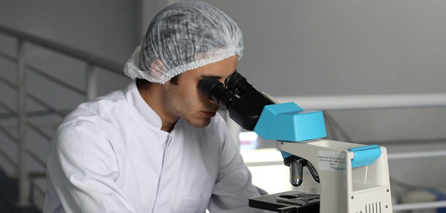 Norte 2020 incentiva contratação de recursos humanos qualificados