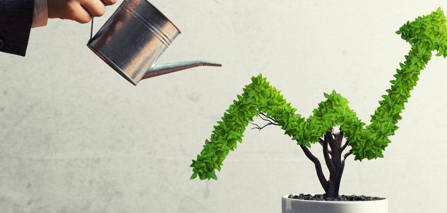 6 estratégias de crescimento comprovadas para start-ups