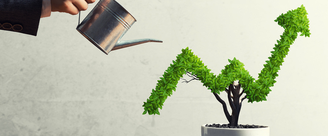 6 estratégias de crescimento comprovadas para start-ups