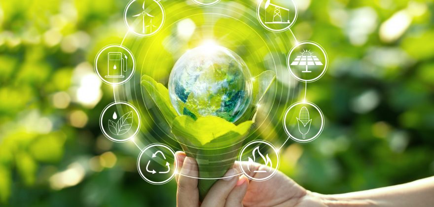 9 Start-ups com projetos sustentáveis que ambicionam mudar o mundo