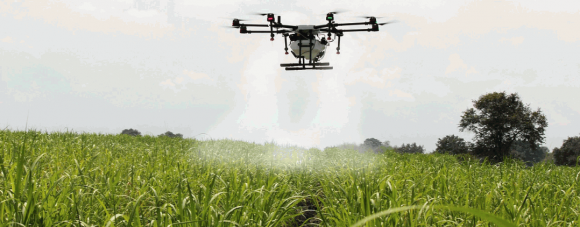 Now: a strat-up que quer reflorestar o planeta com a ajuda de drones
