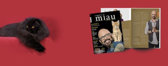 Revista Miau Magazine procura investidor para novos projetos