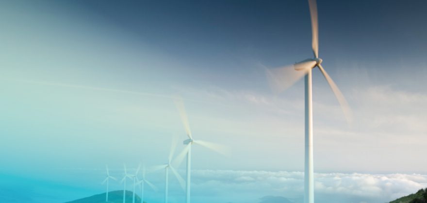 Investidores europeus estão mais atentos à sustentabilidade