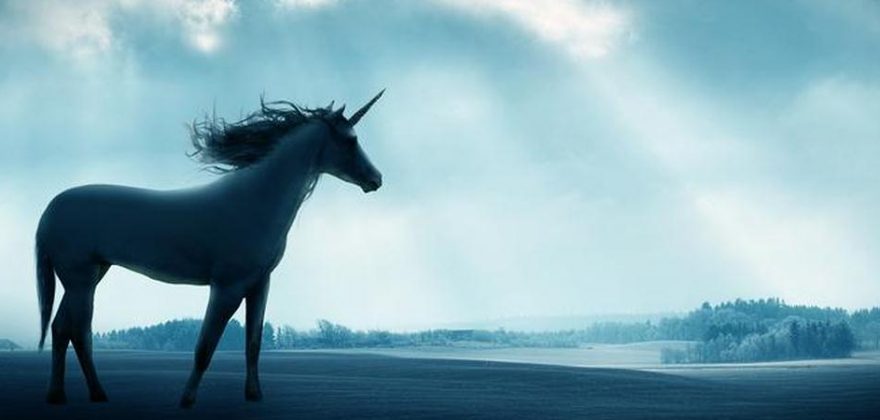 As 10 start-ups com mais valor no mercado em tudo o mundo