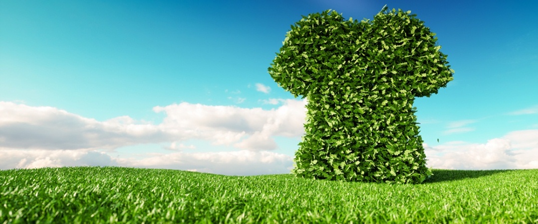 Comissão Europeia tem 50 mil euros para projetos de moda sustentável