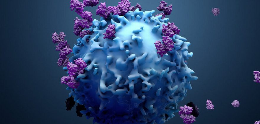 Biotecnológica portuguesa desenvolve novas soluções terapêuticas contra o cancro