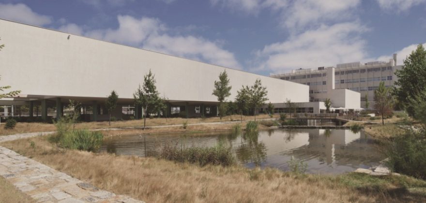 Porto Business School lança programas para executivos 100% online