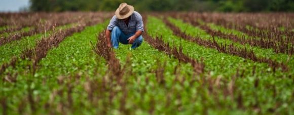V21 Rural o novo programa de Viseu para a criação de negócios rurais