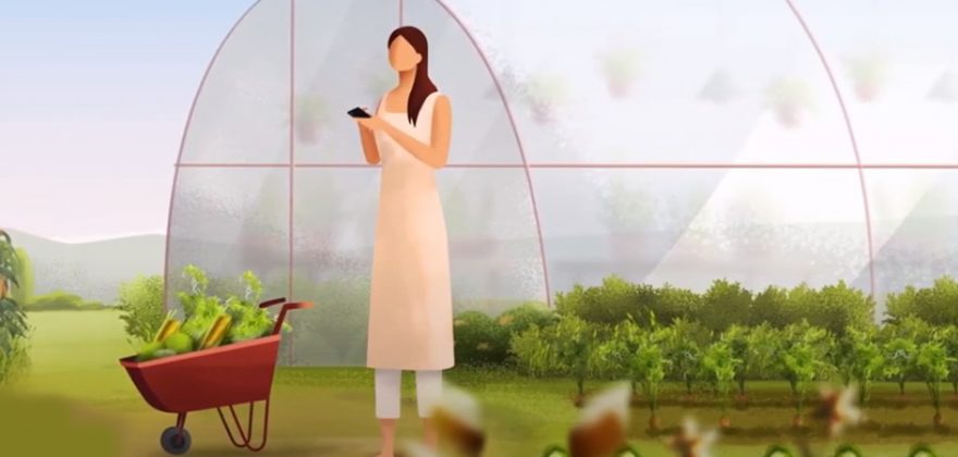 Omnivore redefine financiamento de start-ups agritech na Índia