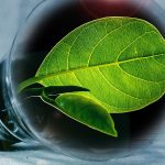 Sustentabilidade