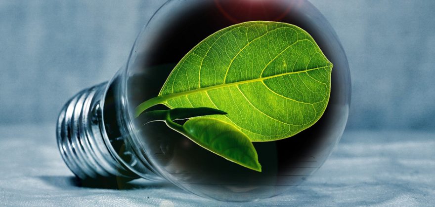 Sustentabilidade