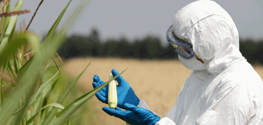 Astanor Ventures lança fundo de 325 milhões de dólares para start-ups de food tech