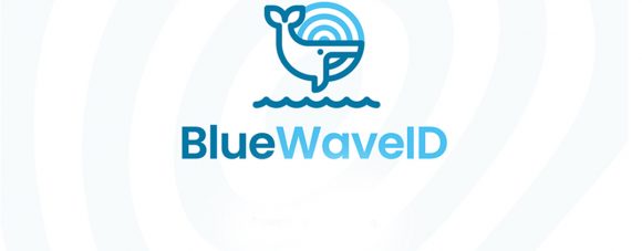 KCS IT desenvolve BlueWaveID para investigação de cetáceos
