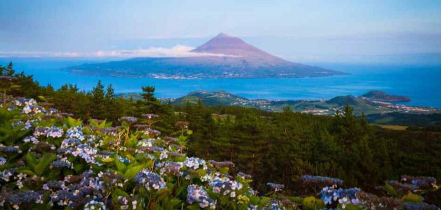 Ilha do Pico