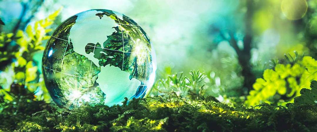 Sustentabilidade