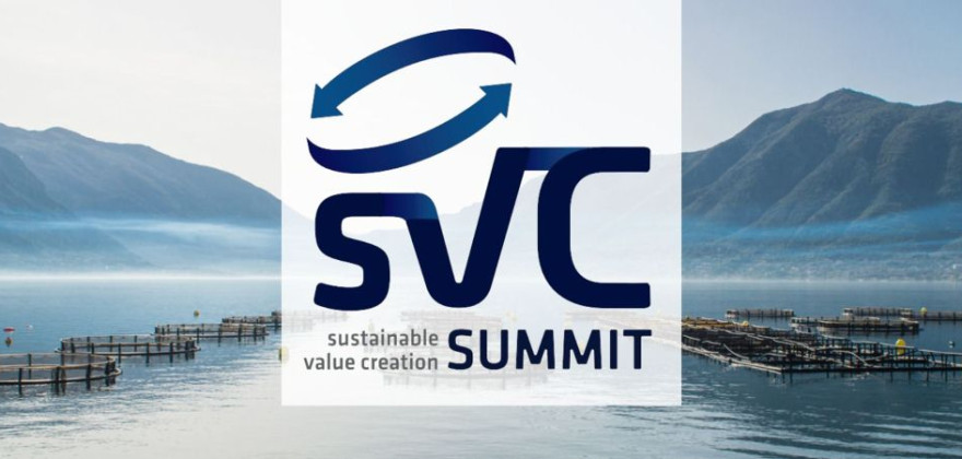 Sustainable Value Creationsummit