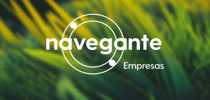 Navegante Empresas