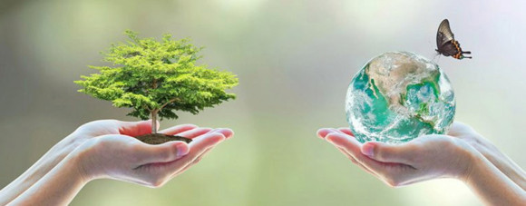 Bioeconomia