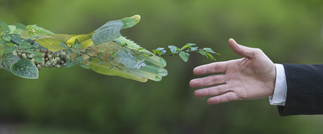 Economia verde