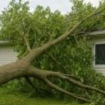 Acidente devido ao mau tempo