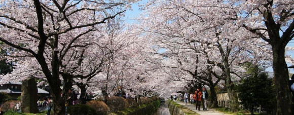 Philosopher’s Path, Kyoto