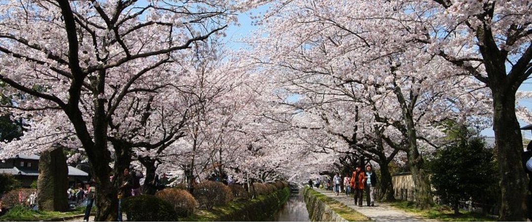 Philosopher’s Path, Kyoto