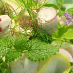 Alimentação