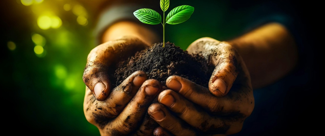 Sustentabilidade