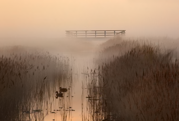 Sapais de Norfolk, Inglaterra
