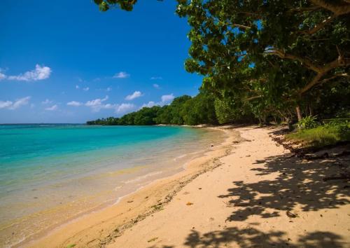 Champagne Beach, na República de Vanuatu