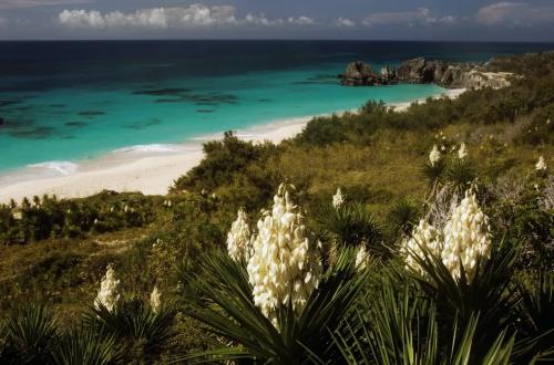 Horseshoe Bay, nas Bermudas